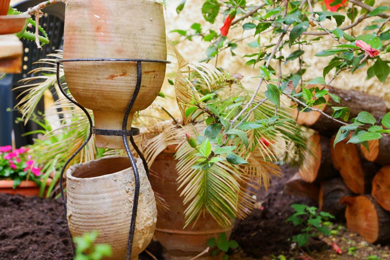 B&B Il Melograno Antico Con Terrazza E Giardino Agrigento Ngoại thất bức ảnh